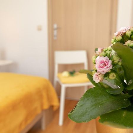Apartment Nik - Cosy And Stylish Dubrovnik Eksteriør billede